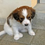07Woche Peter